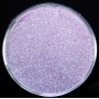 Decor pentru unghii NADP023JJ de 8g sclipici Purple cu reflexii